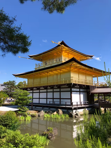 Discover Kyoto! Customized Half-Day Tour with Your Local Guide