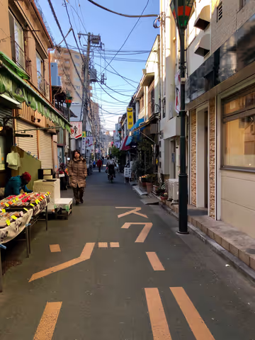 Tokyo from Back Alleys - Private 8 hour Walking Tour