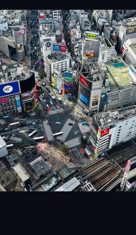 Tokyo from Top to Bottom: Hidden Gems Walking Tour