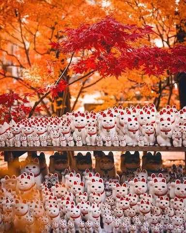 Tokyo hidden gems customized itinerary 5 hour day tour