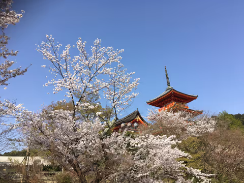 Tour through the Higashiyama district, where the charm of ancient Kyoto remains..