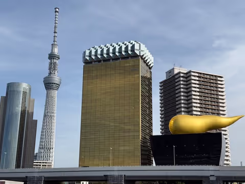 Tokyo One Day Customized Tour