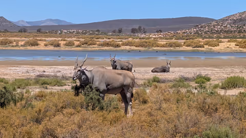 Aquila Adventures with Wine Tasting : Private Tour