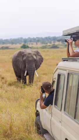 Tour Tarangire National park day trip