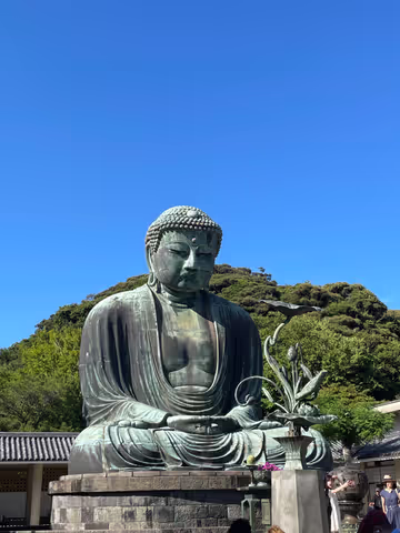 Ancient Capital Kamakura Day Trip. Temples, Shrine, Local Food.