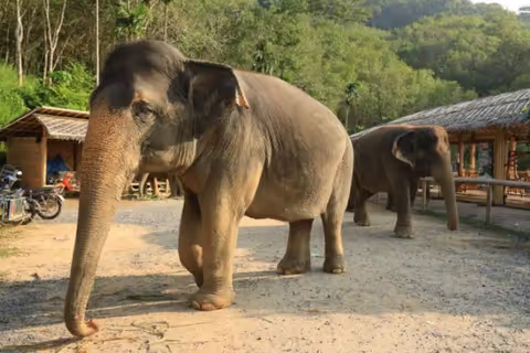 10 Hrs : Pattaya City + Island Hopping + Night life (Van or other private vehicle 1-13 pax)