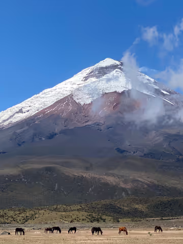 Cotopaxi Volcano Full Day Tour