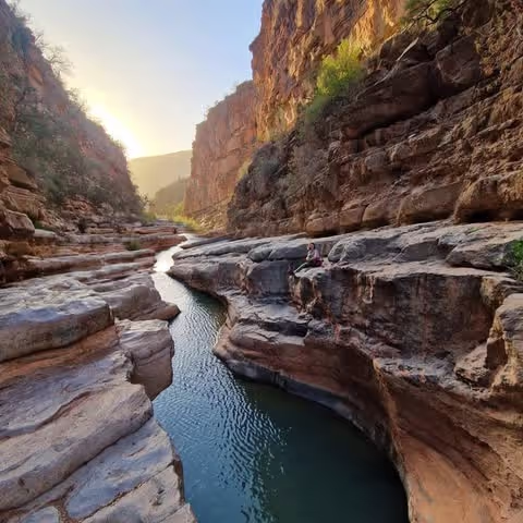 Paradise Valley Tour A Hidden Oasis Near Agadir and Taghazout (Van 1-8 pax)