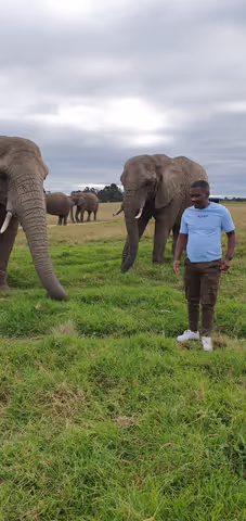 3 Day Garden Route Tour