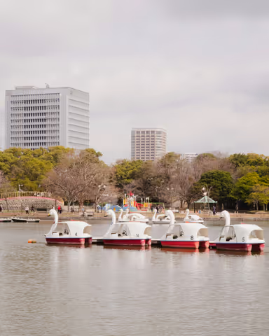 Fukuoka and Chill - a pleasant day with historical highlights