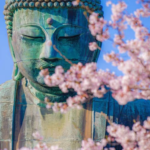 Kamakura and Enoshima One-Day Tour