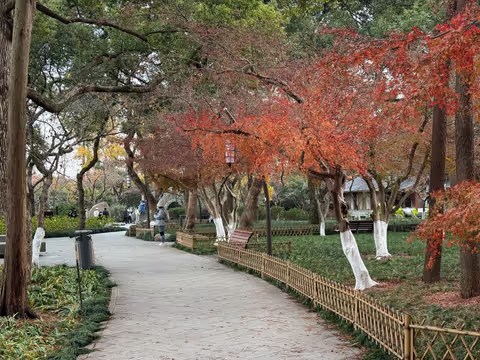 Hiking tour: Hangzhou’s beauty and traditional culture, 6 hours