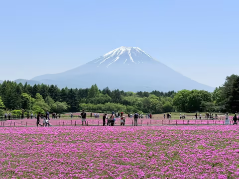 Mt. Fuji Classic Photo Tour with Lakes & Iconic Viewpoints (Van with professional driver)