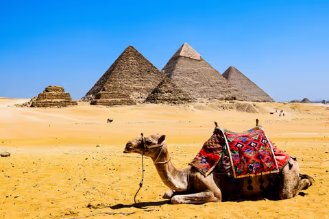 From Pharaohs to the Future: Giza Pyramids & Grand Egyptian Museum Day Tour