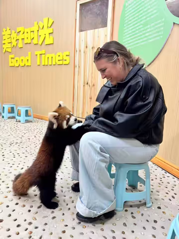 Unique One-Day Tour: Interactive Experience with Red Pandas