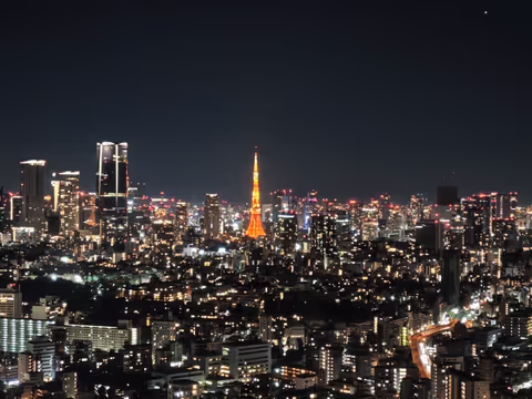 Narita Airport Pickup-Tokyo Highlights & Night View City Tour (Van 1-9 pax)