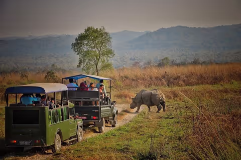 Chitwan: 2 nights 3 days Full Package including Room and Food and Jungle Safari and Tourist Bus