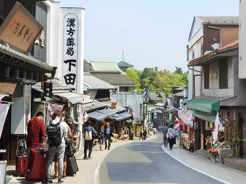 Narita Highlight Tour with Airport Pick-up