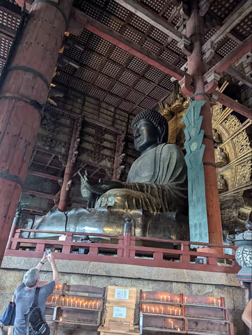 One day tour of Nara and Osaka with a local guide