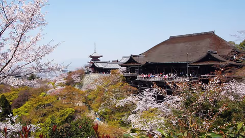 Your choice of Kyoto in 8 hours with a local guide