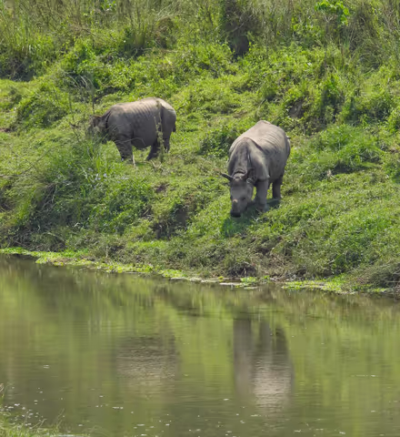 Chitwan National Park: Canoeing and jungle walk and Night tower stay