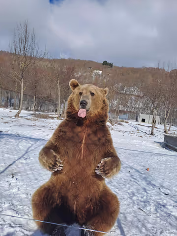 Sabaduri forest and Bear Sanctuary