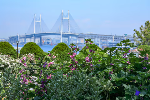 Sankeien Garden and Yokohama harbour view park