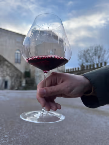 Full Day Private Alentejo Wine Tour & Évora Heritage - 2 Wineries