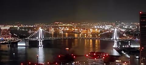 Tokyo Highlights One-Day Private Drive Tour (Van 1-9 pax)