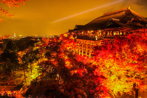 Kyoto Private Car Tour