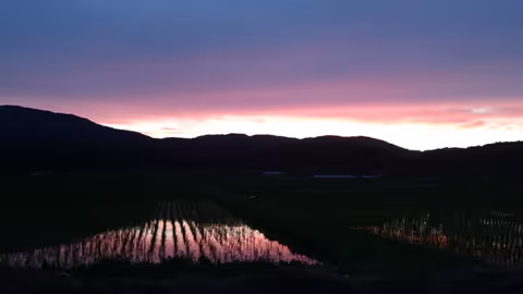 All inclusive - Cultural sites with Kyoto-born Art & Architecture oriented guide