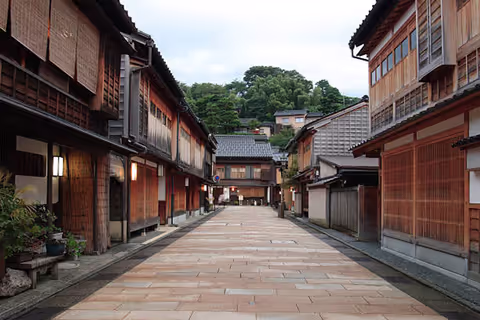 Half-day tour in Geisha District