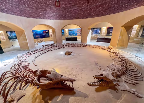 Fayoum Oasis Escape: Nature, Lakes & Desert Adventure