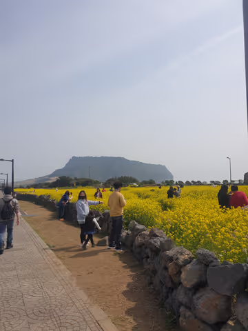 EAST Jeju Escapade: Dive into Nature's Splendor! Full Day Tour