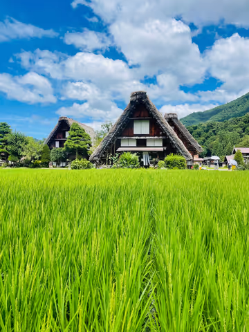 Best of Takayama & Shirakawa-go Expedition