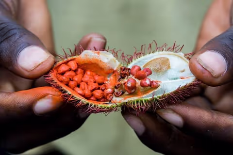 Spice Farm with local food + Stone Town City Tour (Toyota Minivan Max. 5pax)