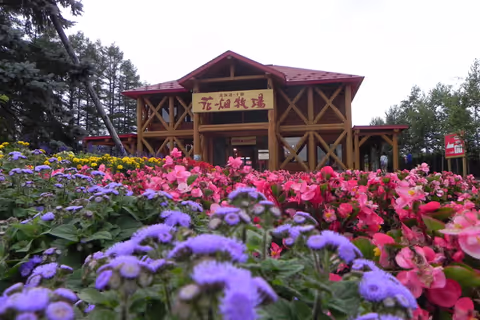 Obihiro-Tokachi Summer One Day Tour