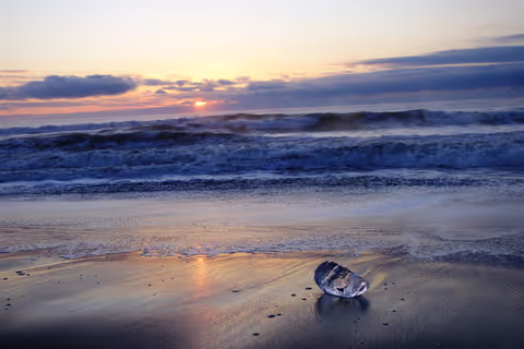 Obihiro-Tokachi Winter One Day Tour