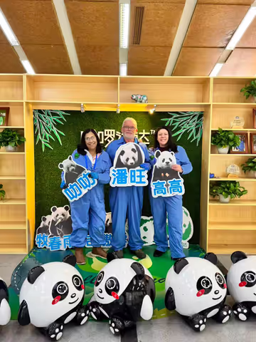 An Unforgettable Giant Panda Volunteer Experience in Dujiangyan Panda Base