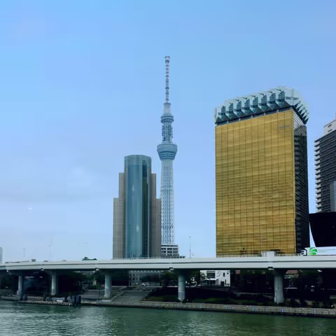 Tokyo "10h" customized tour by subway trains
