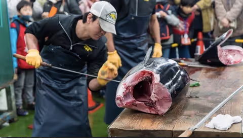 Early Morning Yokohama: Fish Market, Maritime Heritage & Port City Culture with a Licensed Guide