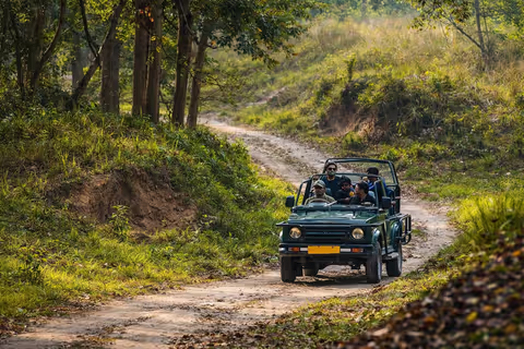 [Nature] Rishikesh: Private Open Jeep Safari in Rajaji Tiger Reserve National Park