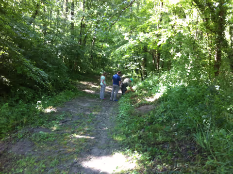 Istria Premium Truffle Experience