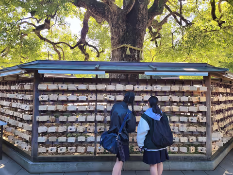 Harajuku: Between a frantic street & tranquil forest!