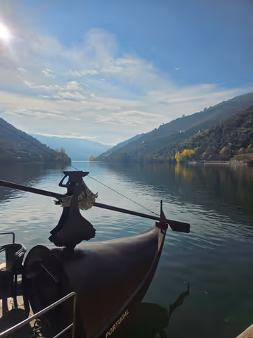 Douro Valley Half-Day Tour: Wine, Landscapes & River Cruise