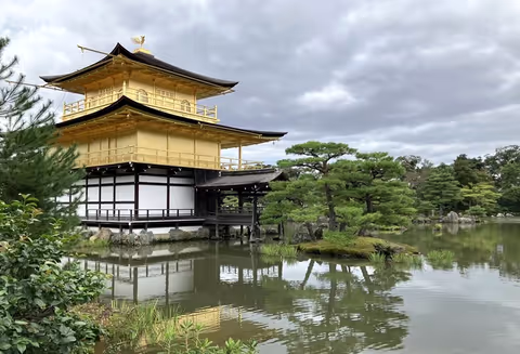 Half-Day Kyoto Tour to Supreme Beauty
