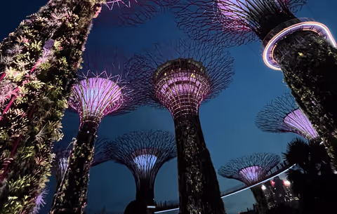 Best Of Marina Bay Sands & Gardens By The Bay