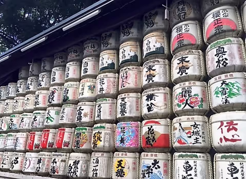 TOKYO MUST-SEE PLACES "AS YOU LIKE" ONE-DAY TOUR