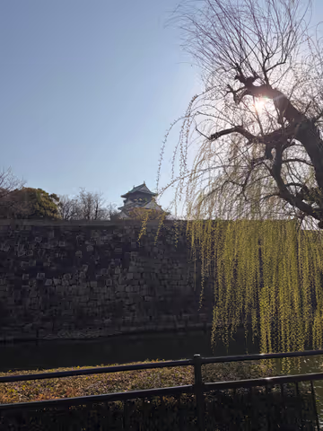 Osaka Castle & History Private Tour: Premium Hospitality by a Former Hotelier