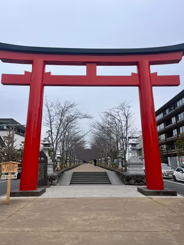 Kamakura: A Private Journey Through History and Aesthetic Beauty